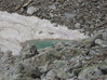 озерцо возле Тютюйского ледника